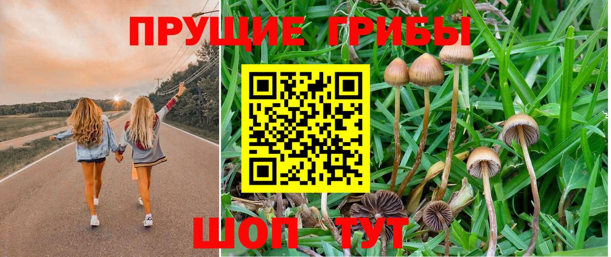 Псилоцибиновые грибы прущие грибы Мыски