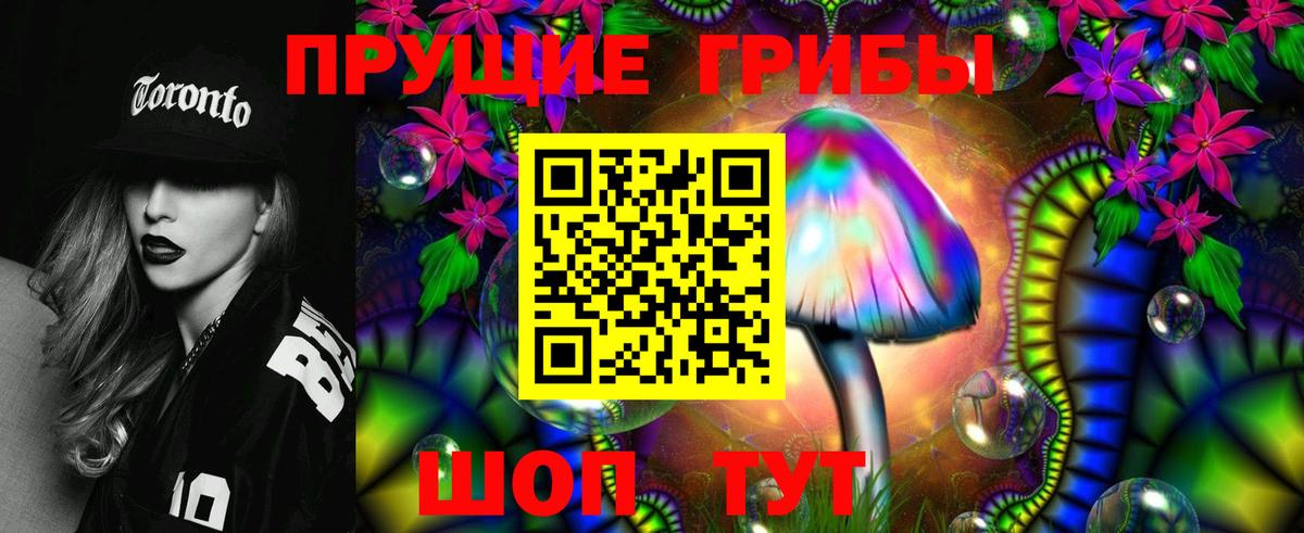 Мыски  Псилоцибиновые грибы прущие грибы  Псилоцибиновые грибы Psilocybine cubensis  Вход с VPN 